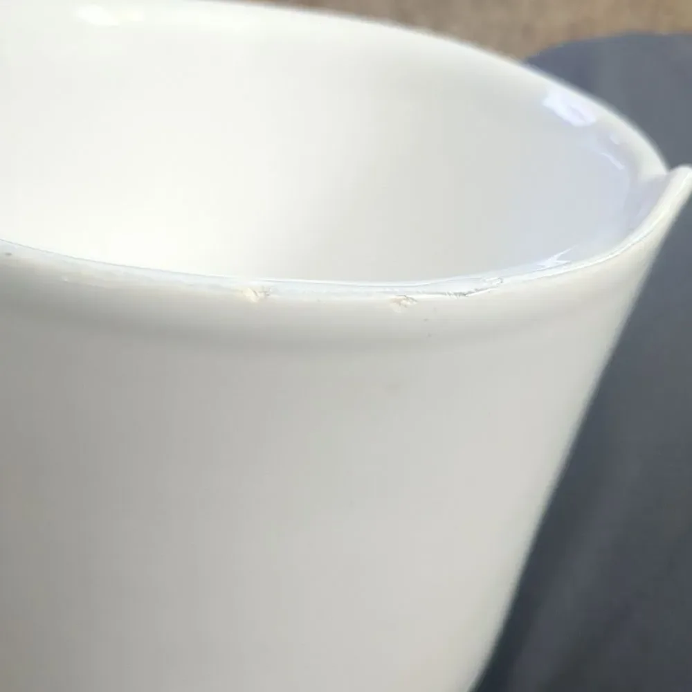 Fraiche For Williams Sonoma Chunky Pottery Pitcher tiny chip